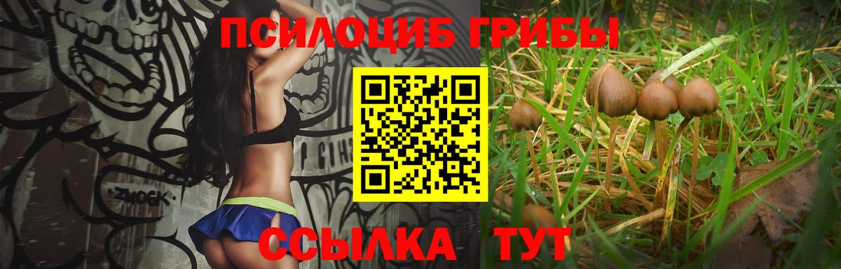 Псилоцибиновые грибы ЛСД  Вход с VPN  Псилоцибиновые грибы Psilocybine cubensis  что такое   Дятьково 