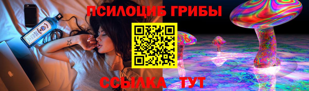 Псилоцибиновые грибы Psilocybe Дятьково